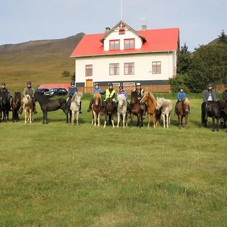 Ferthaþjonustan Geitaskarthi Bed & Breakfast Blonduos Dış mekan fotoğraf