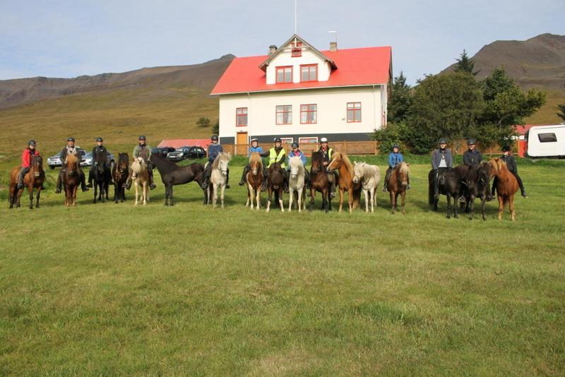 Ferthaþjonustan Geitaskarthi Bed & Breakfast Blonduos Dış mekan fotoğraf